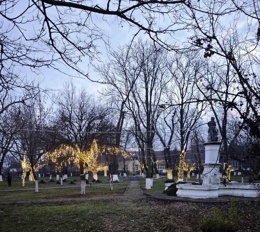 WhatsApp Image 2025-12-17 at 21.37.22 (1)