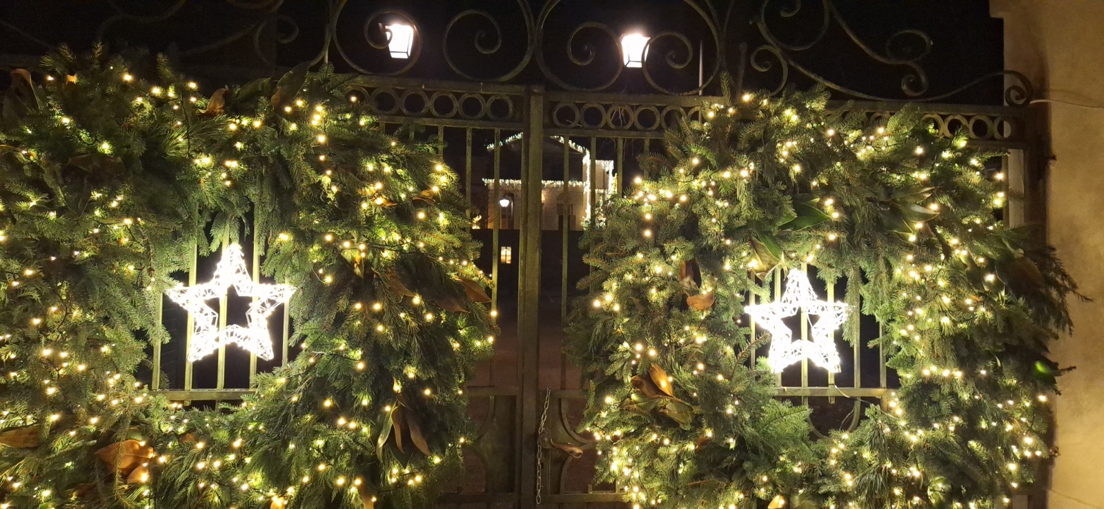 WhatsApp Image 2025-12-20 at 12.45.19 (5)