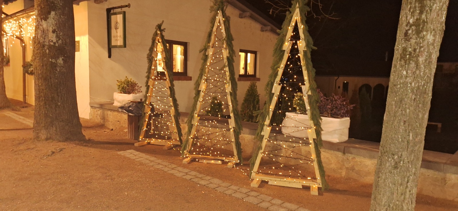 WhatsApp Image 2025-12-20 at 12.45.22 (7)