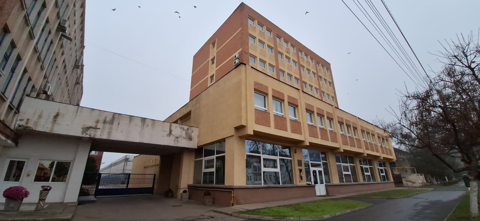 WhatsApp Image 2025-12-21 at 14.45.08 (1)