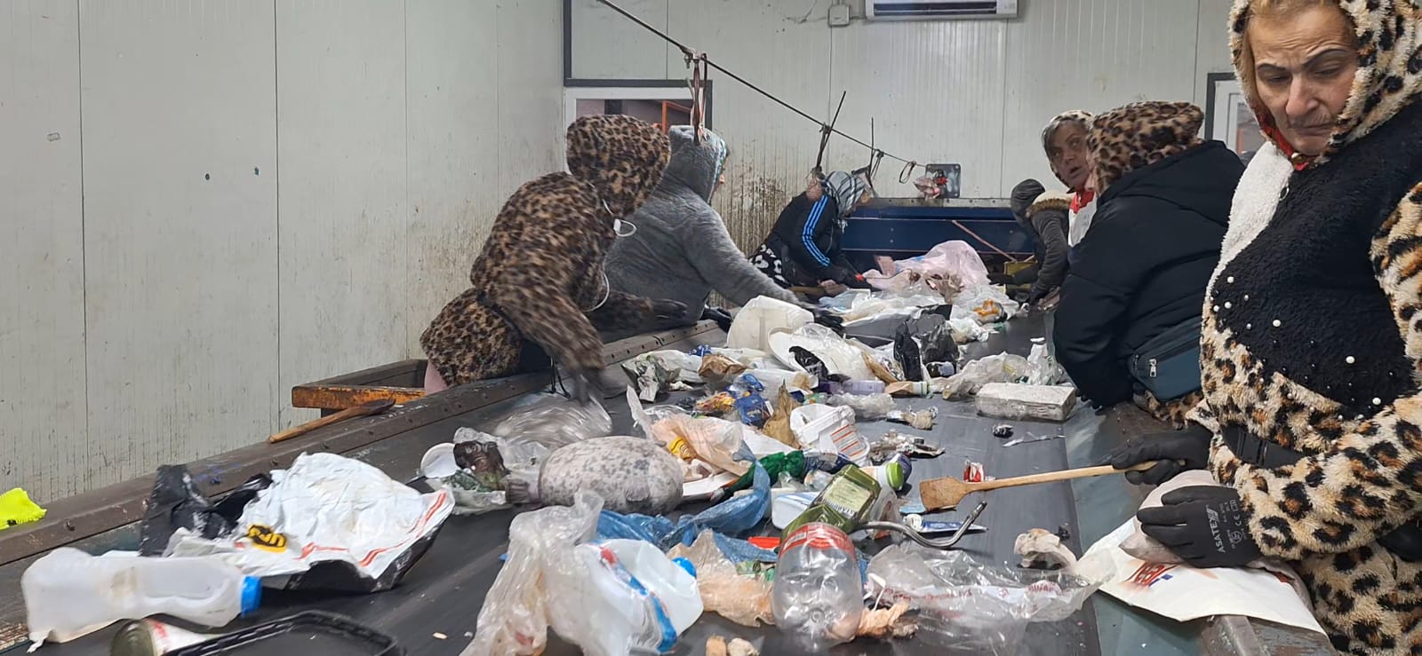 WhatsApp Image 2025-12-30 at 3.12.47 PM (3)