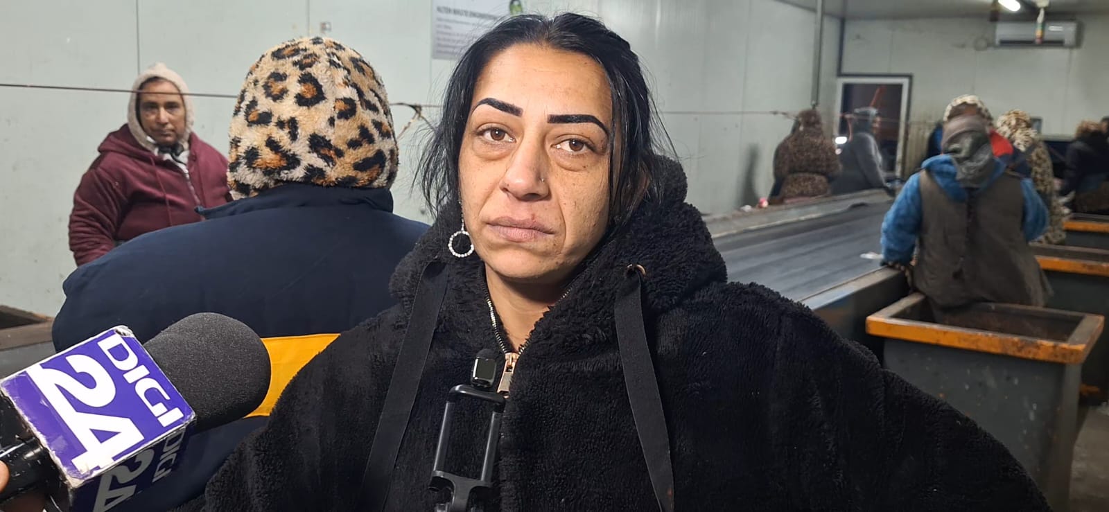 WhatsApp Image 2025-12-30 at 3.12.49 PM (2)