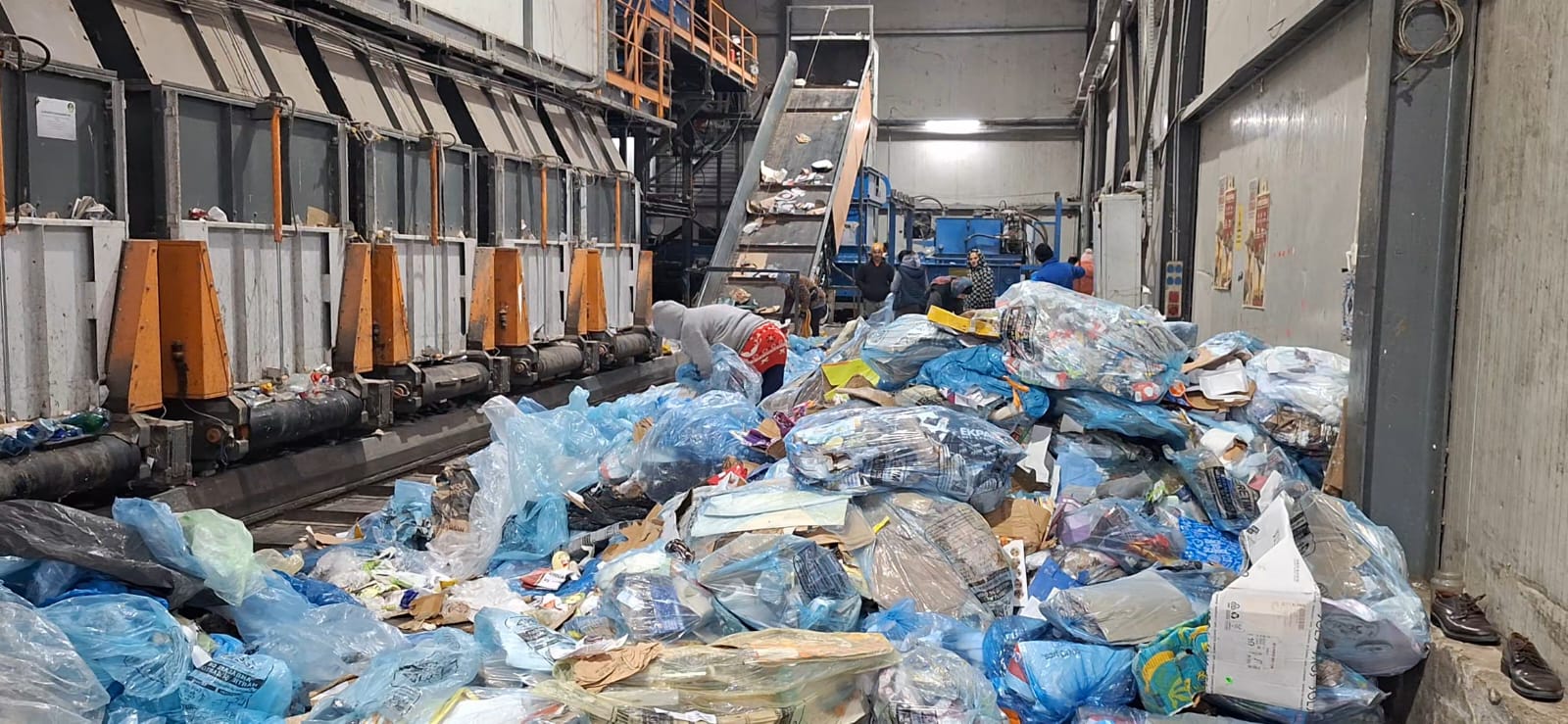 WhatsApp Image 2025-12-30 at 3.12.50 PM (1)