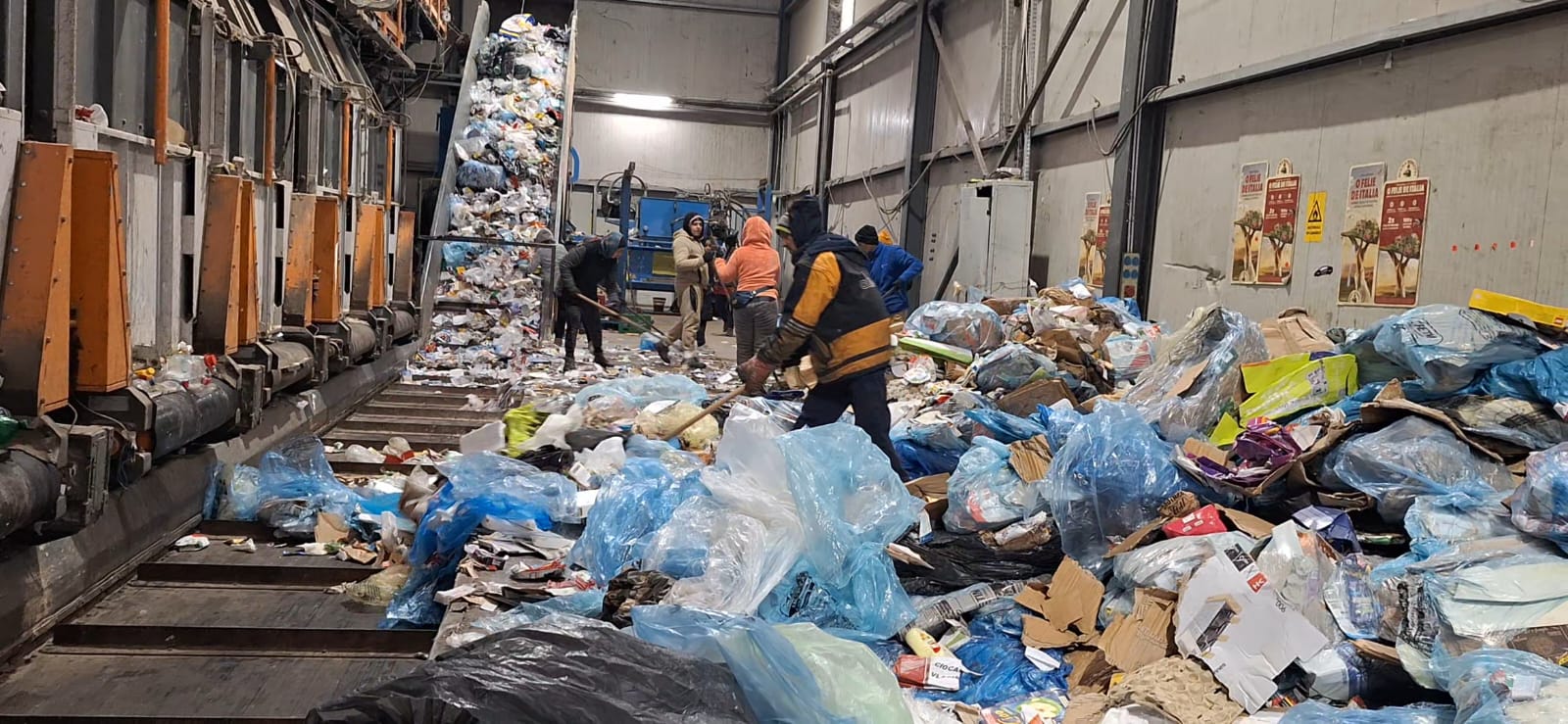 WhatsApp Image 2025-12-30 at 3.12.50 PM (4)