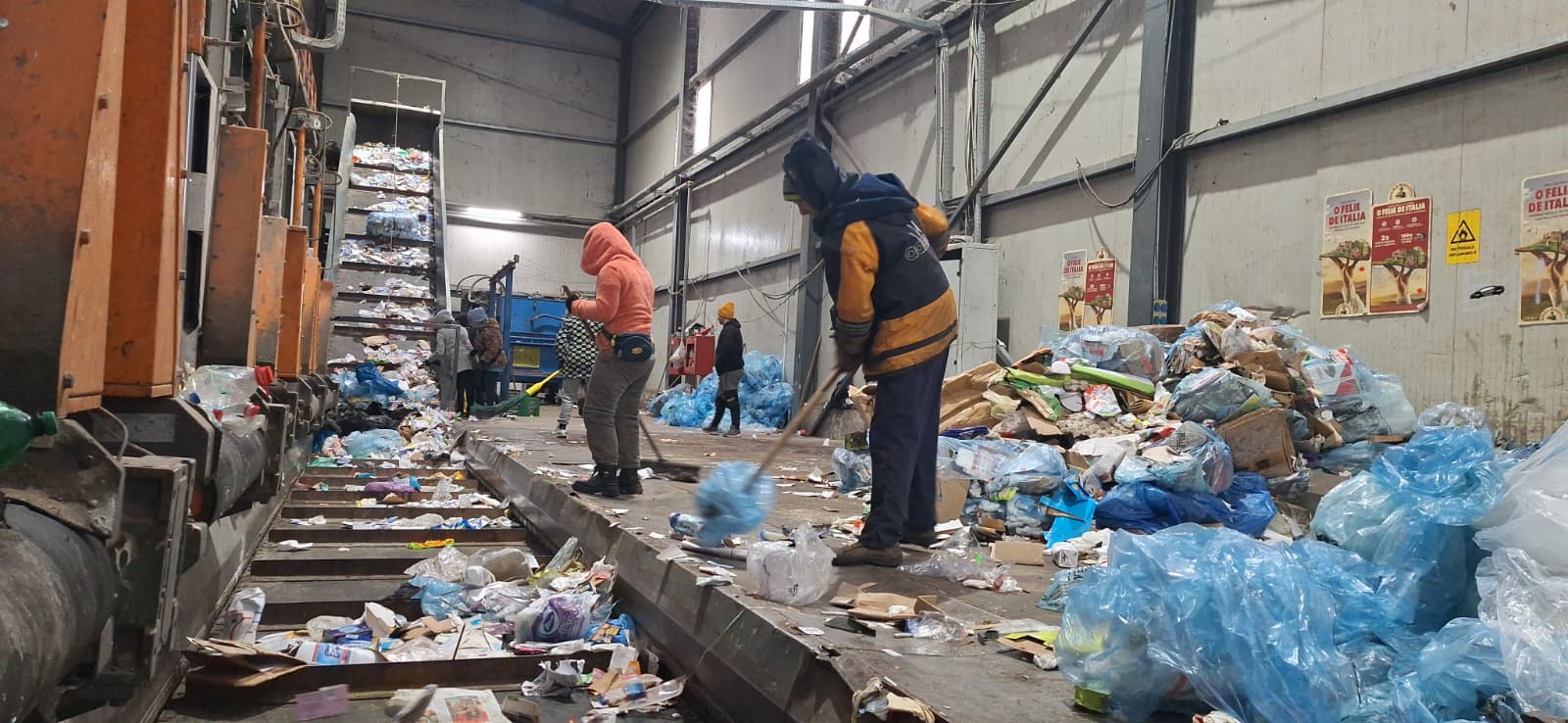 WhatsApp Image 2025-12-30 at 3.12.51 PM (1)