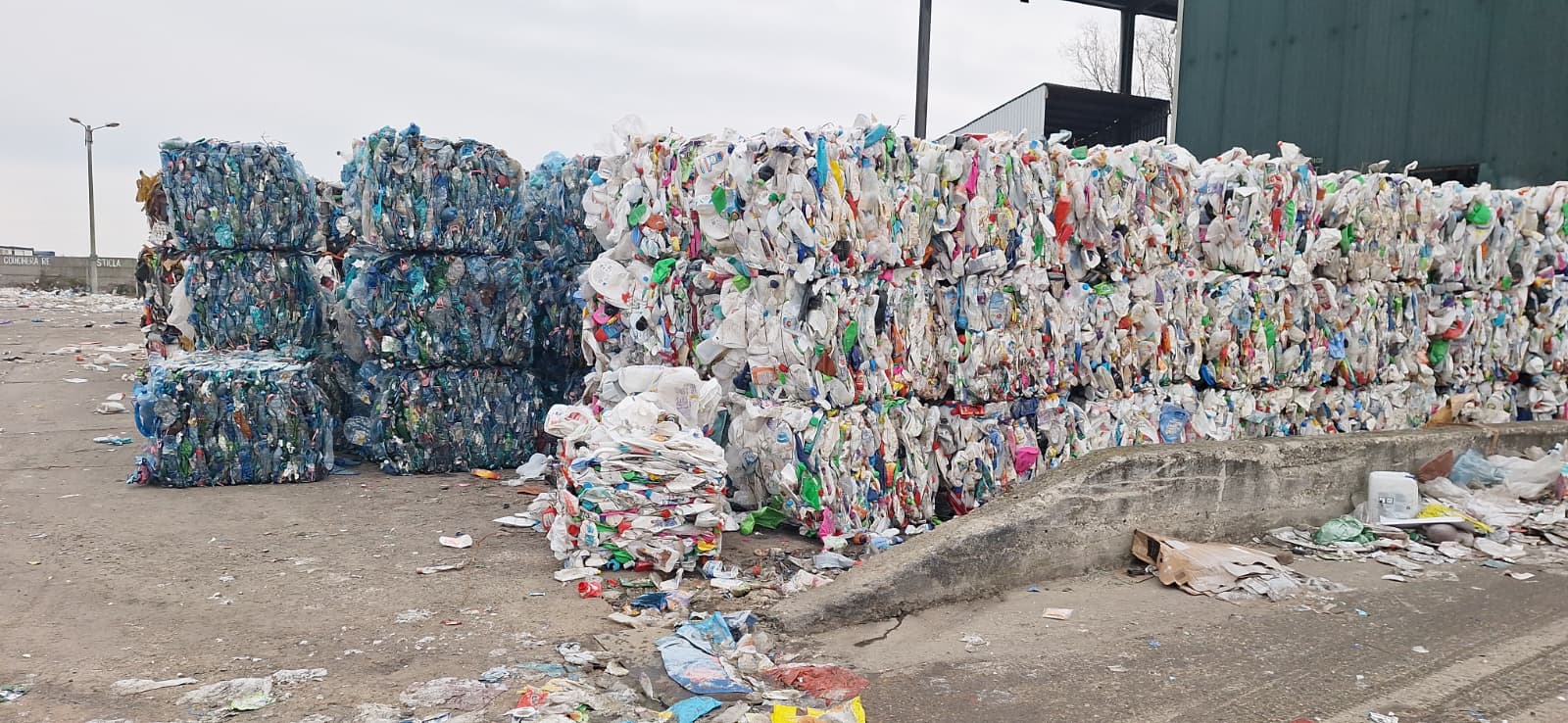 WhatsApp Image 2025-12-30 at 3.12.51 PM (4)