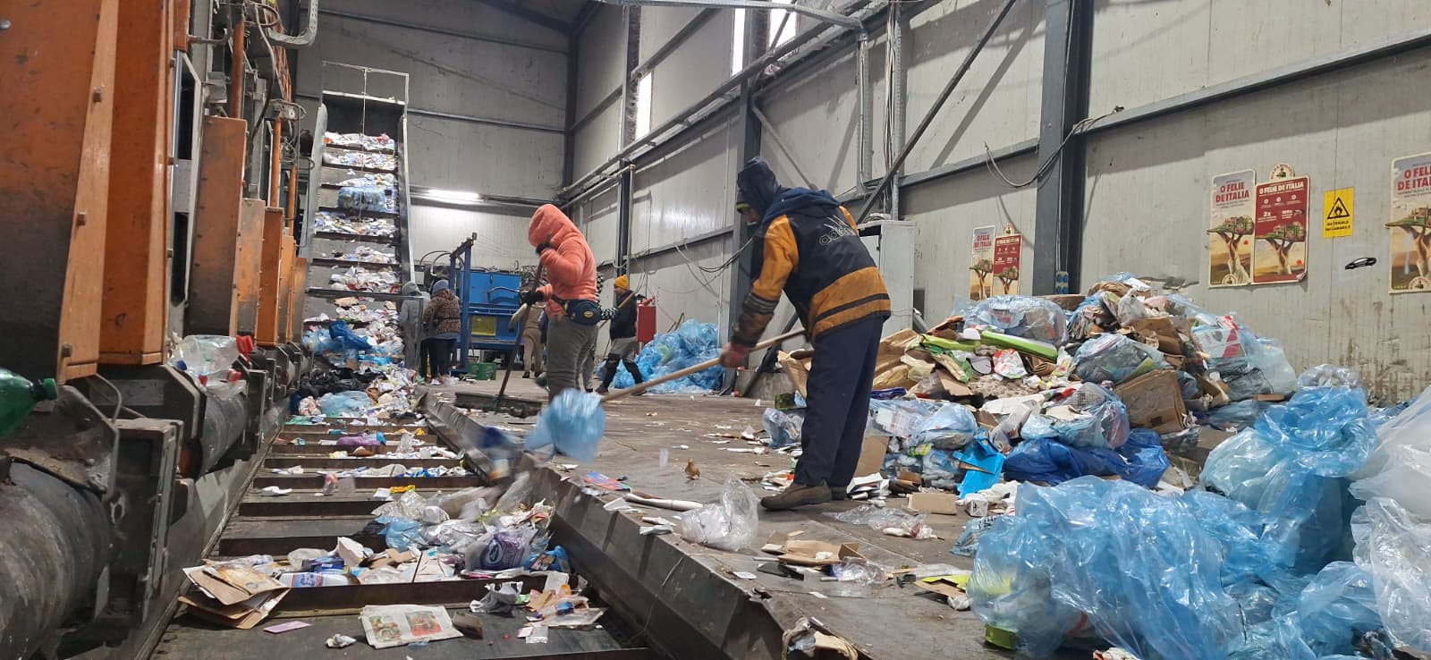 WhatsApp Image 2025-12-30 at 3.12.51 PM