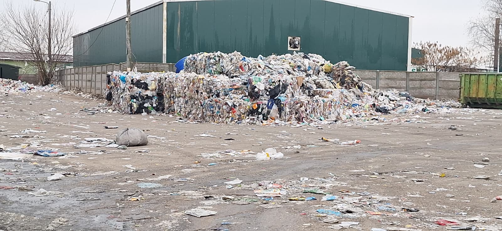 WhatsApp Image 2025-12-30 at 3.12.52 PM