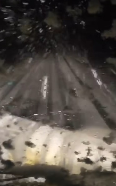 Captură ecran (4666)