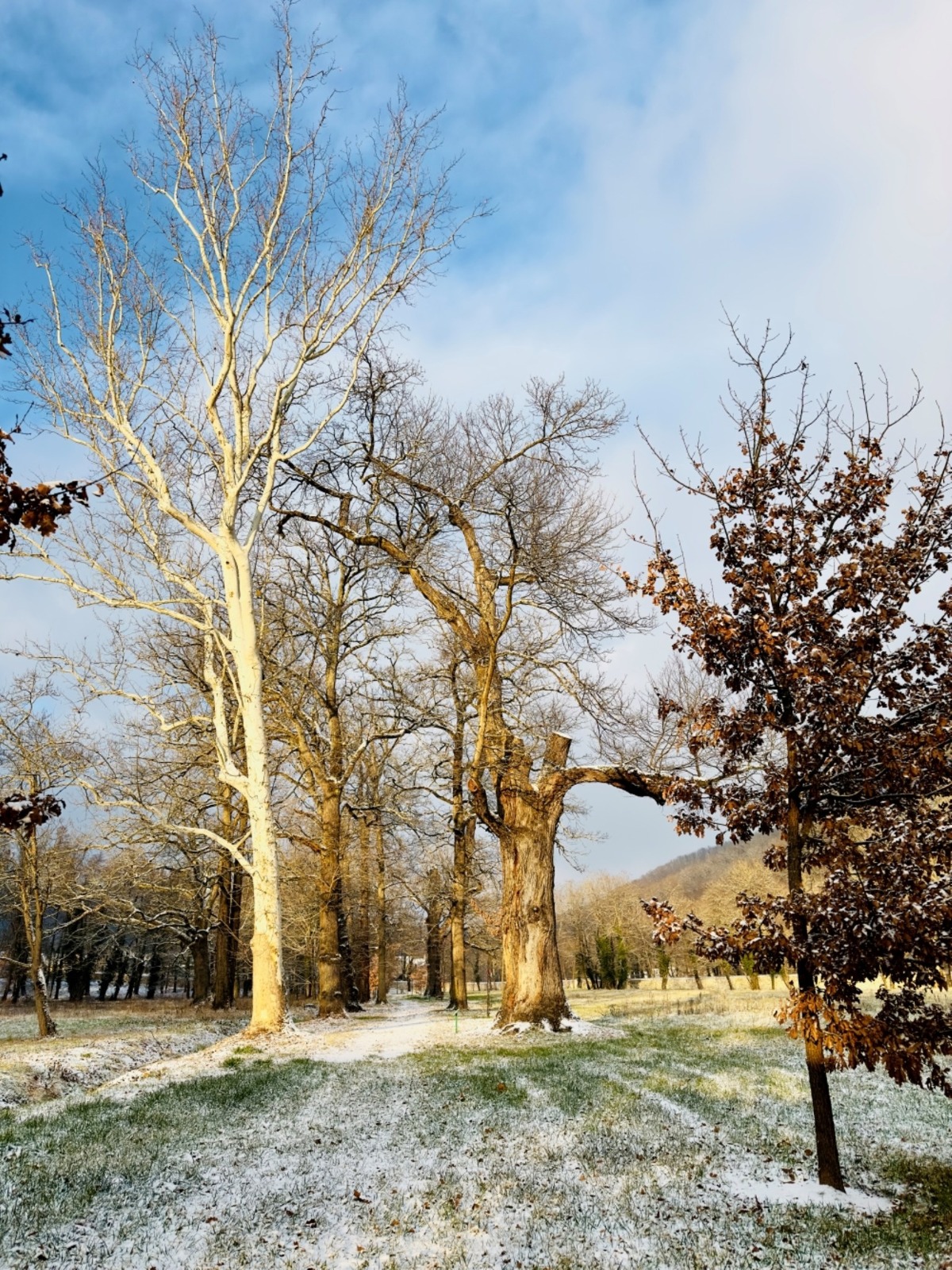 WhatsApp Image 2026-01-03 at 12.16.11 (1)