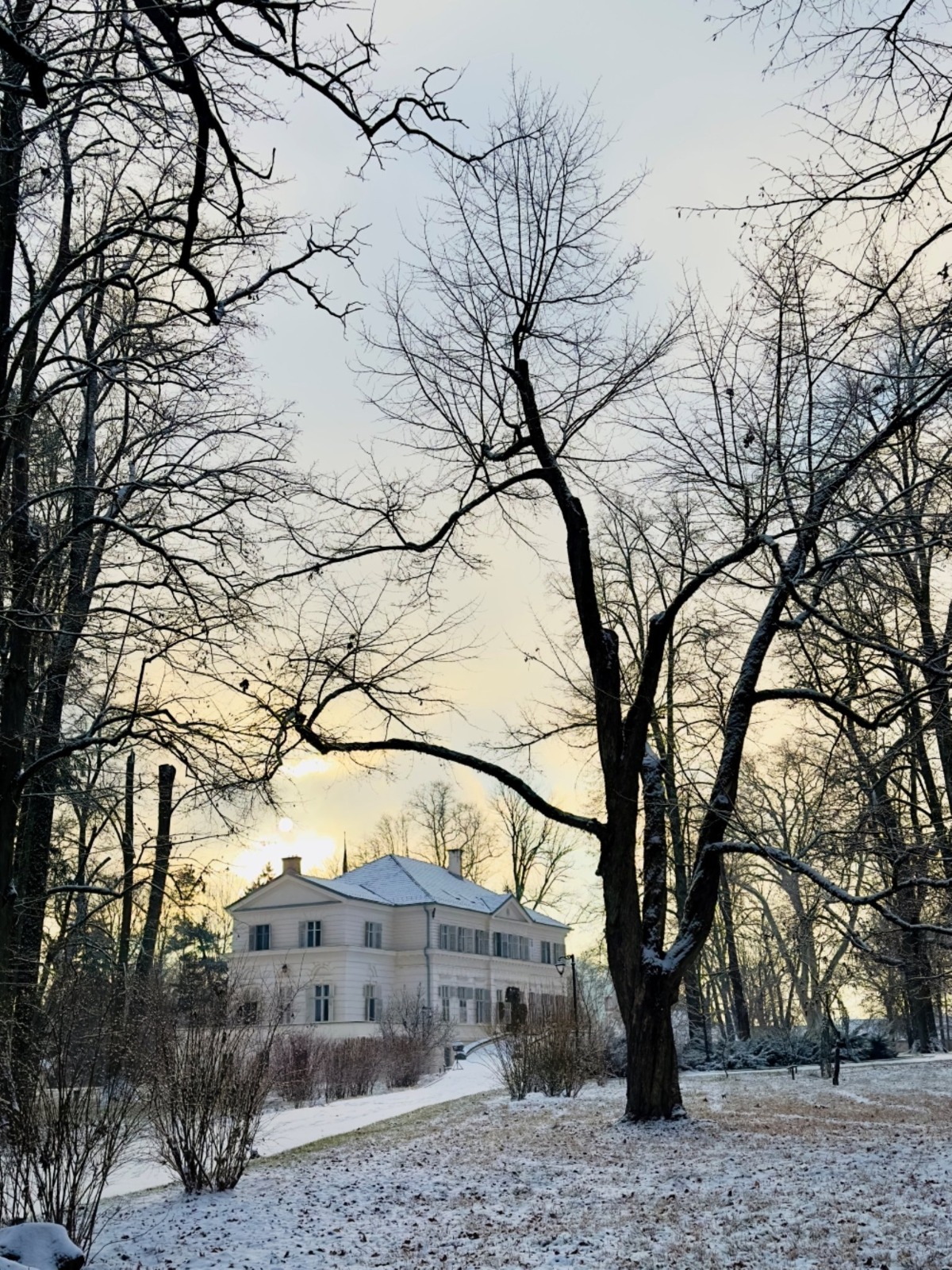 WhatsApp Image 2026-01-03 at 12.16.11 (3)