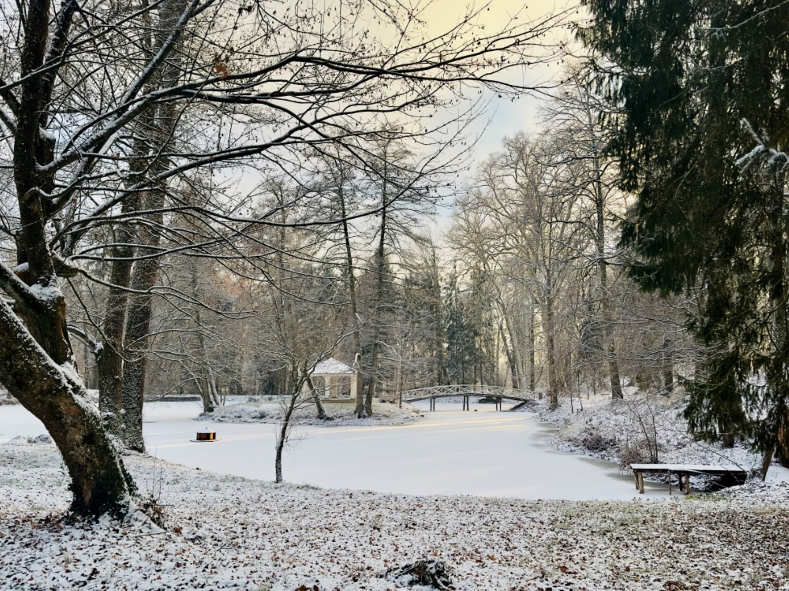 WhatsApp Image 2026-01-03 at 12.16.11 (4)