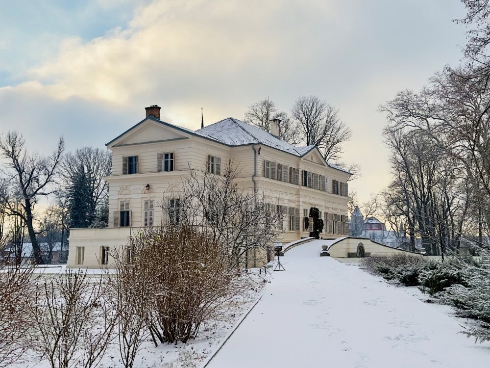 WhatsApp Image 2026-01-03 at 12.16.11 (6)