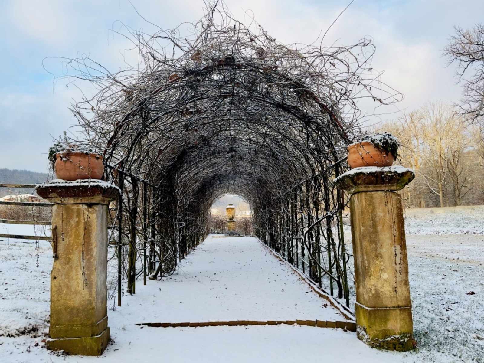 WhatsApp Image 2026-01-03 at 12.16.11 (8)