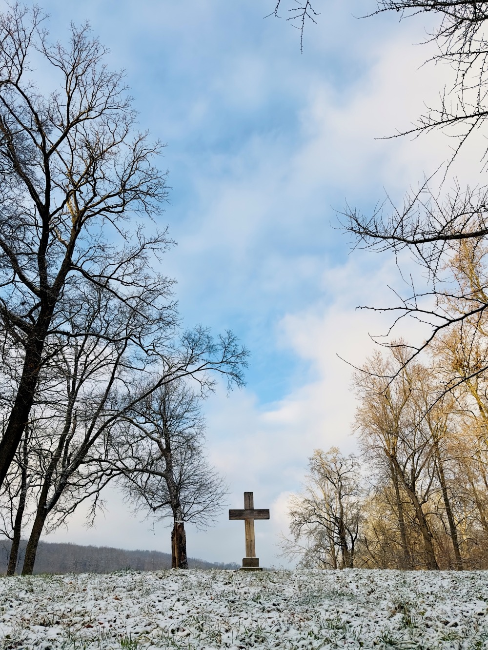 WhatsApp Image 2026-01-03 at 12.16.11 (9)