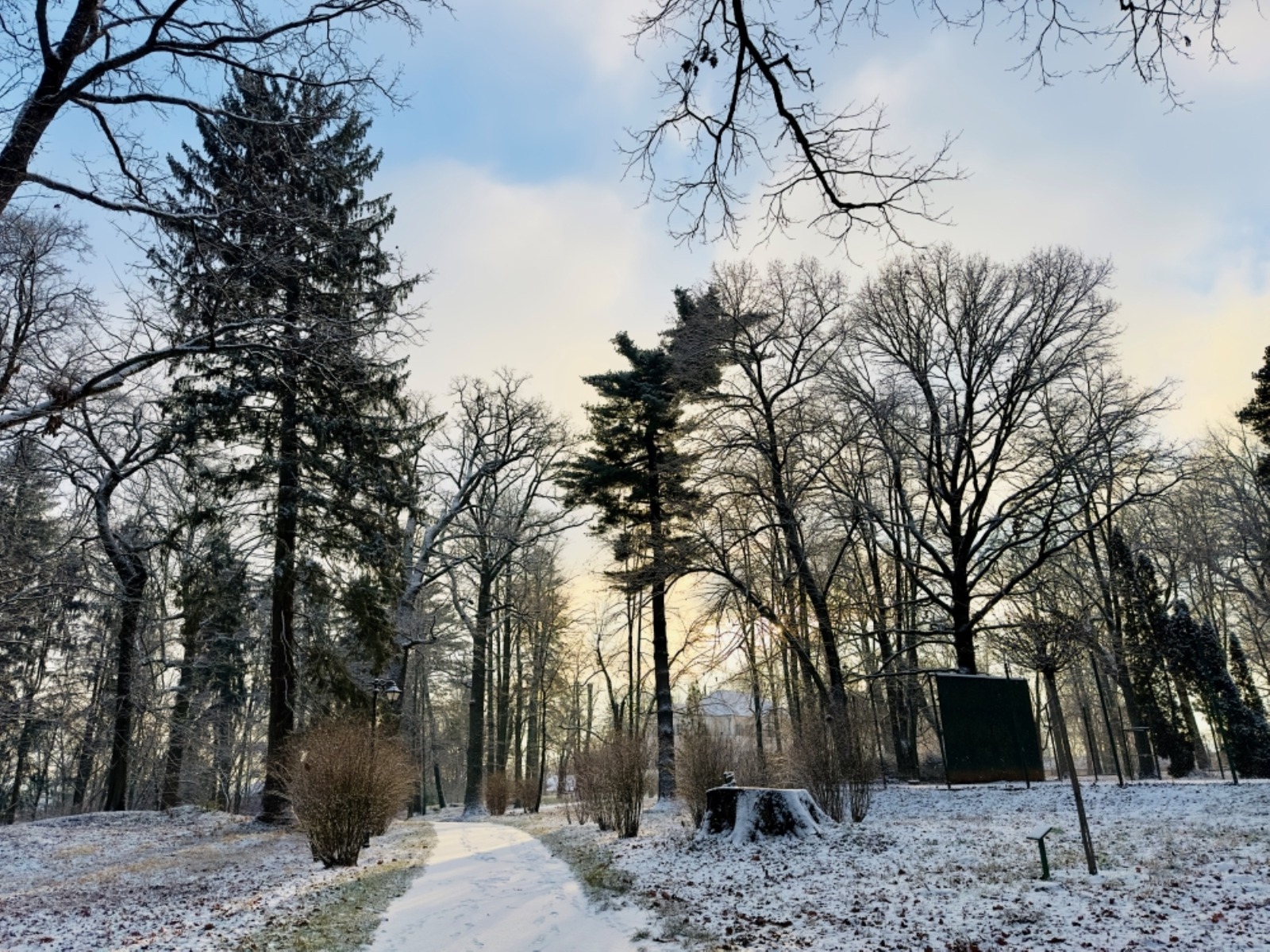 WhatsApp Image 2026-01-03 at 12.16.11