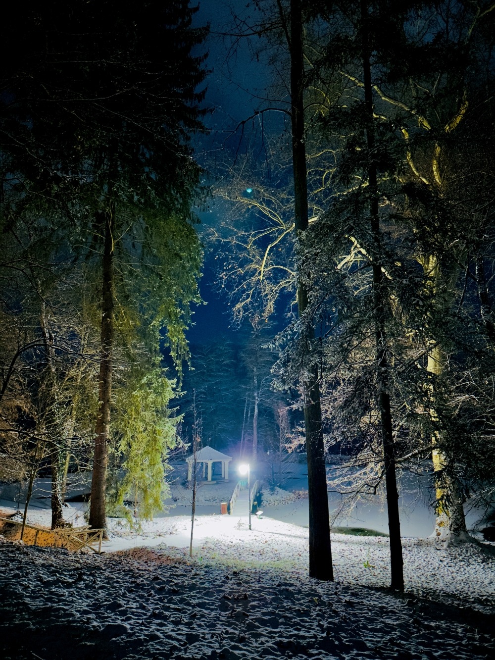 WhatsApp Image 2026-01-03 at 12.16.12 (2)