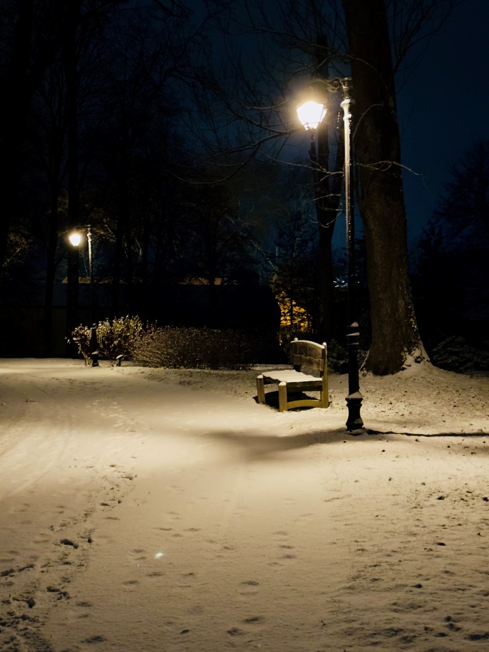 WhatsApp Image 2026-01-03 at 12.16.12 (3)