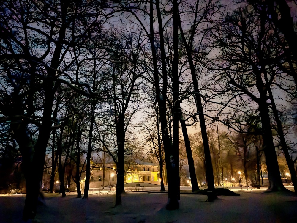 WhatsApp Image 2026-01-03 at 12.16.12 (4)