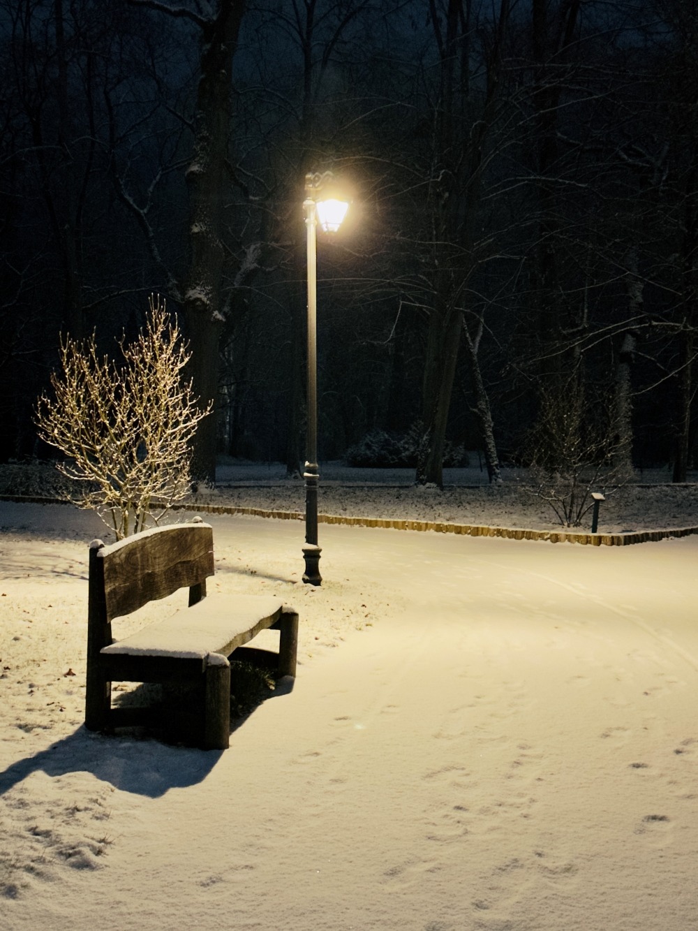 WhatsApp Image 2026-01-03 at 12.16.12 (5)