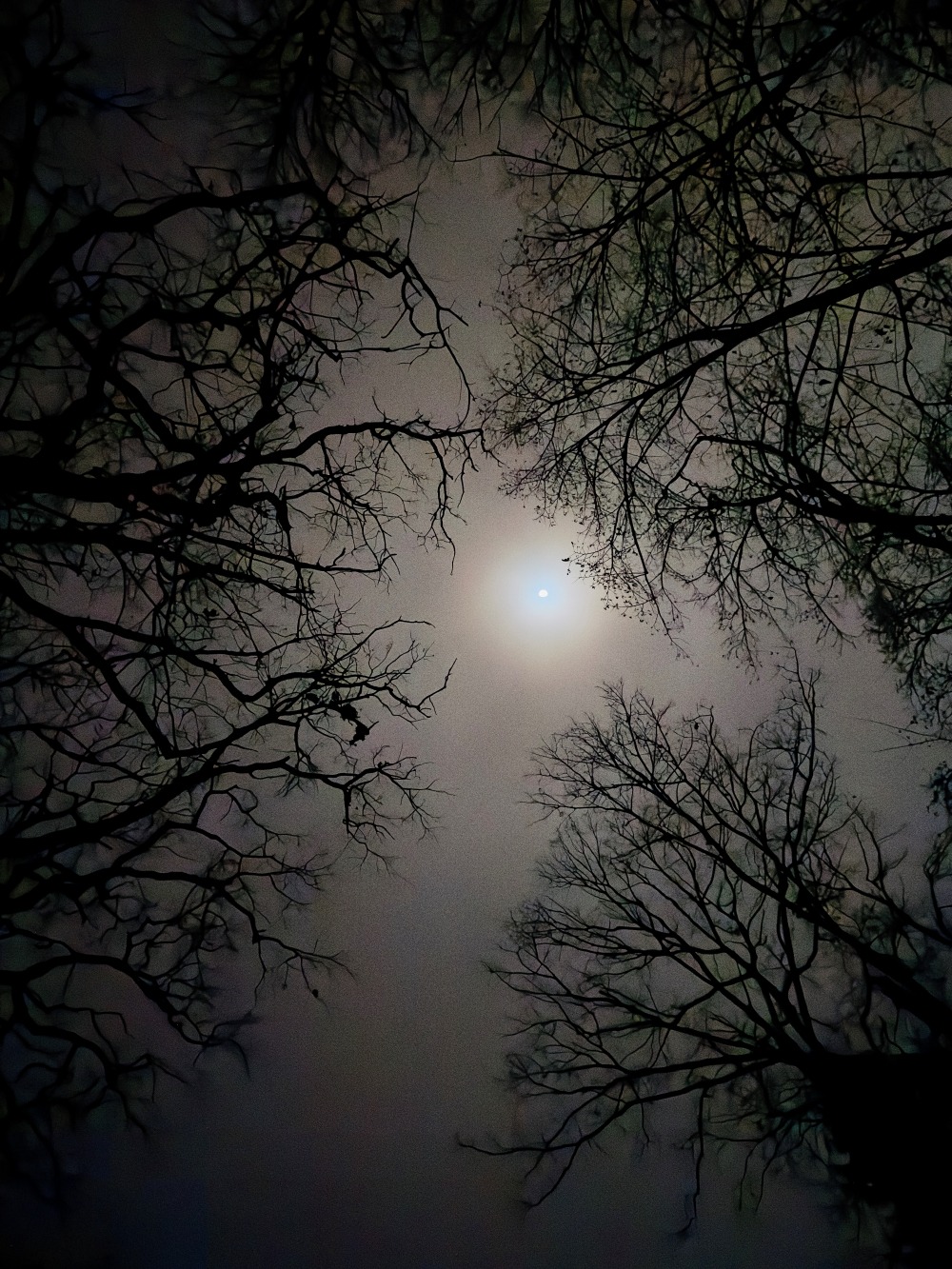 WhatsApp Image 2026-01-03 at 12.16.12 (6)