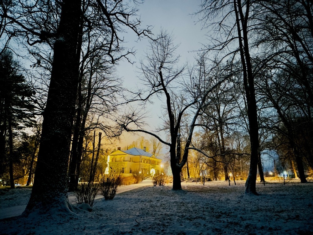 WhatsApp Image 2026-01-03 at 12.16.12 (8)