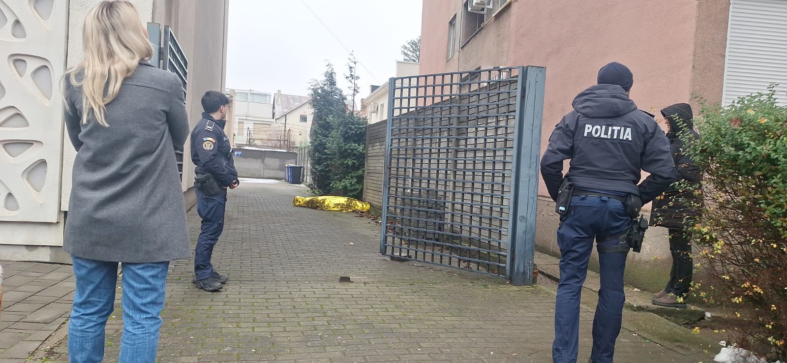 WhatsApp Image 2026-01-06 at 12.49.55 PM