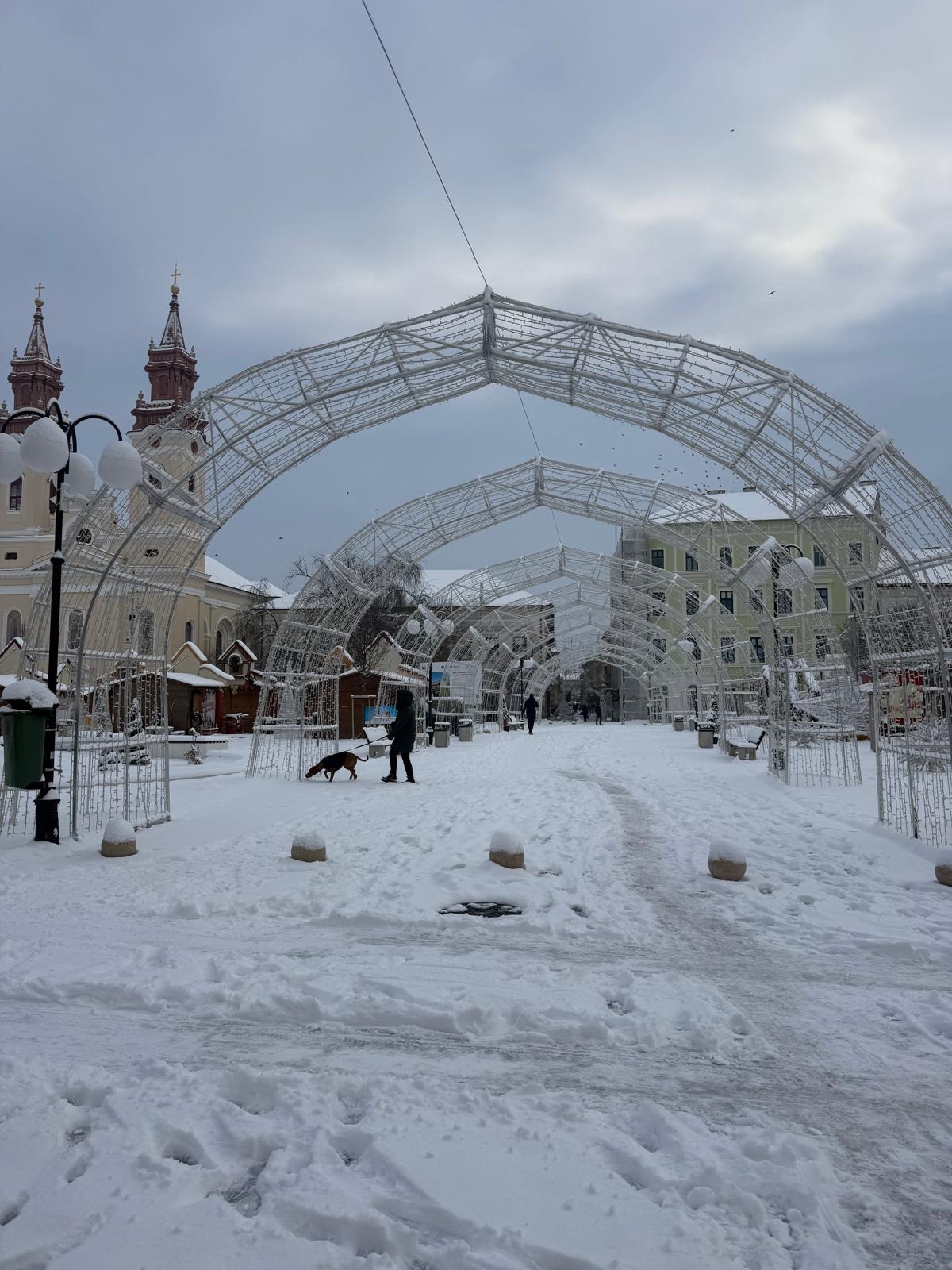 WhatsApp Image 2026-01-08 at 12.39.04