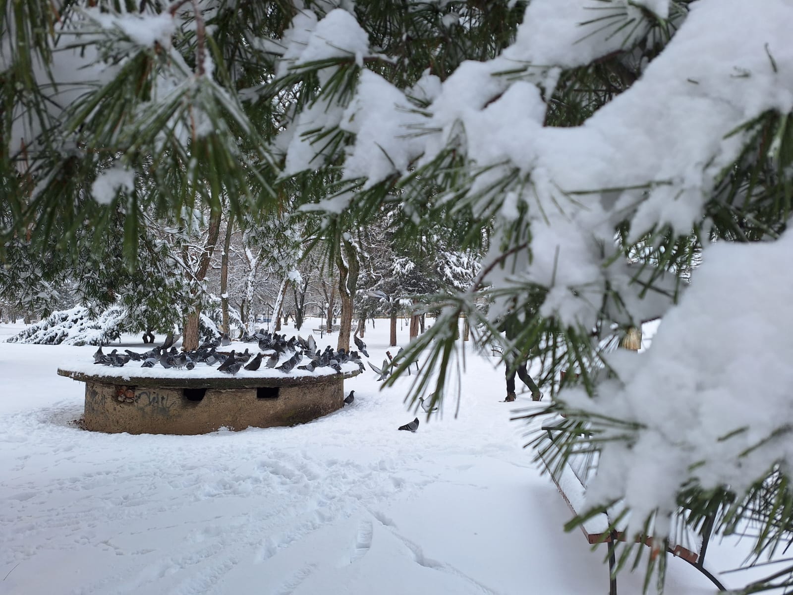 2c248644-e594-4279-96f6-fc38f24e27d9