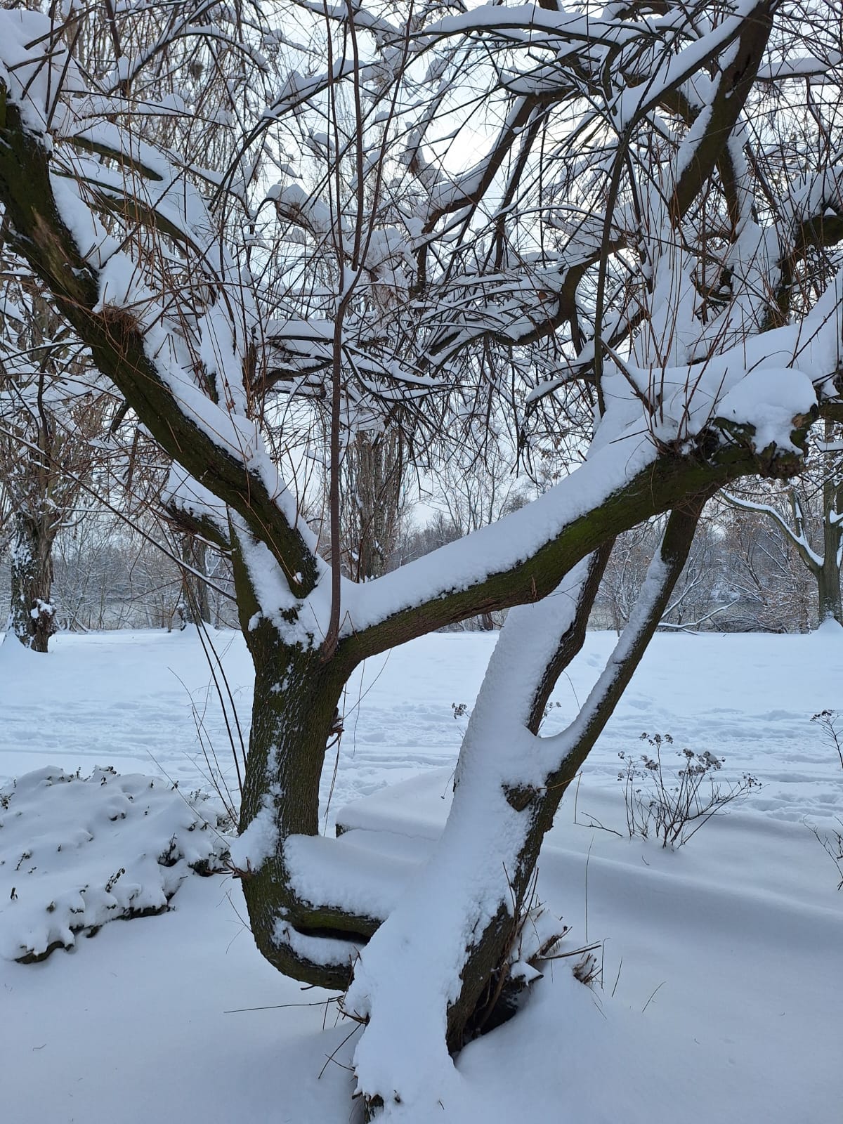 6d68d222-9138-4bd2-ac33-15f614bc1447