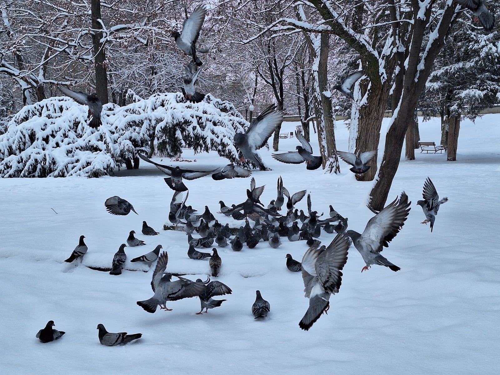 55a16355-d949-4685-8c15-9ffc096ee085