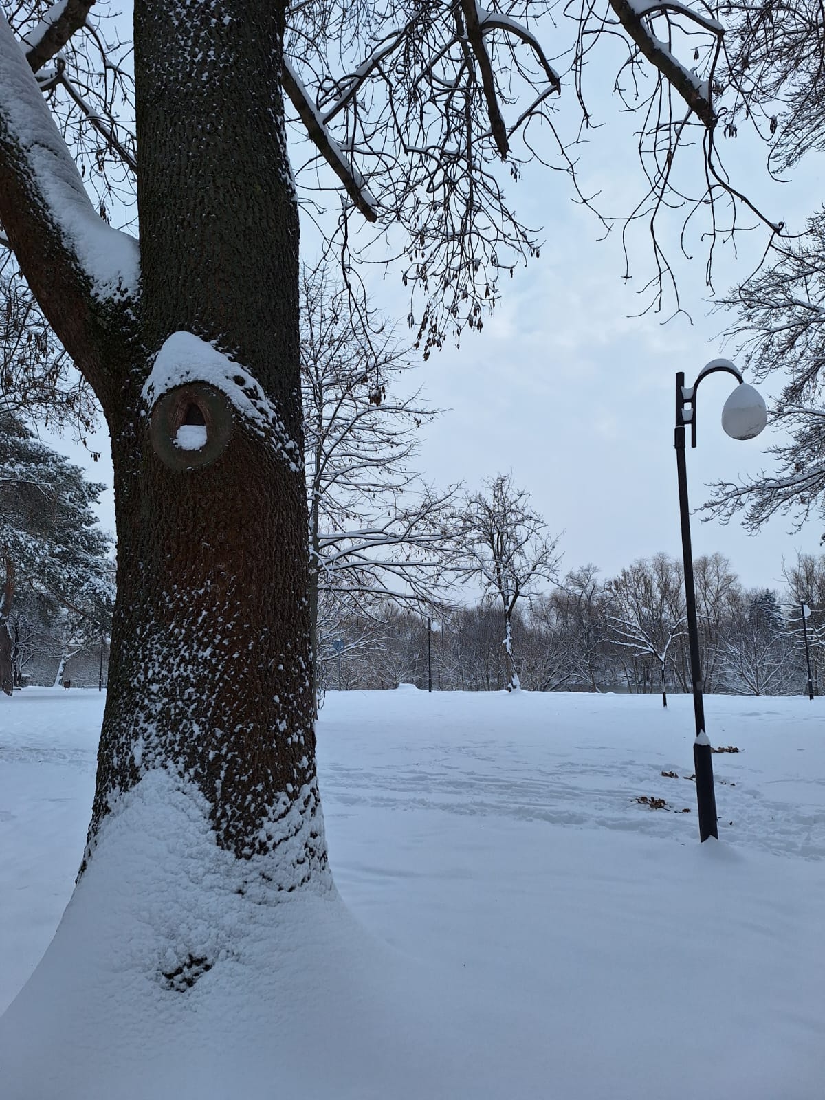 69ad7527-54f6-442b-97a6-24387c684ef3