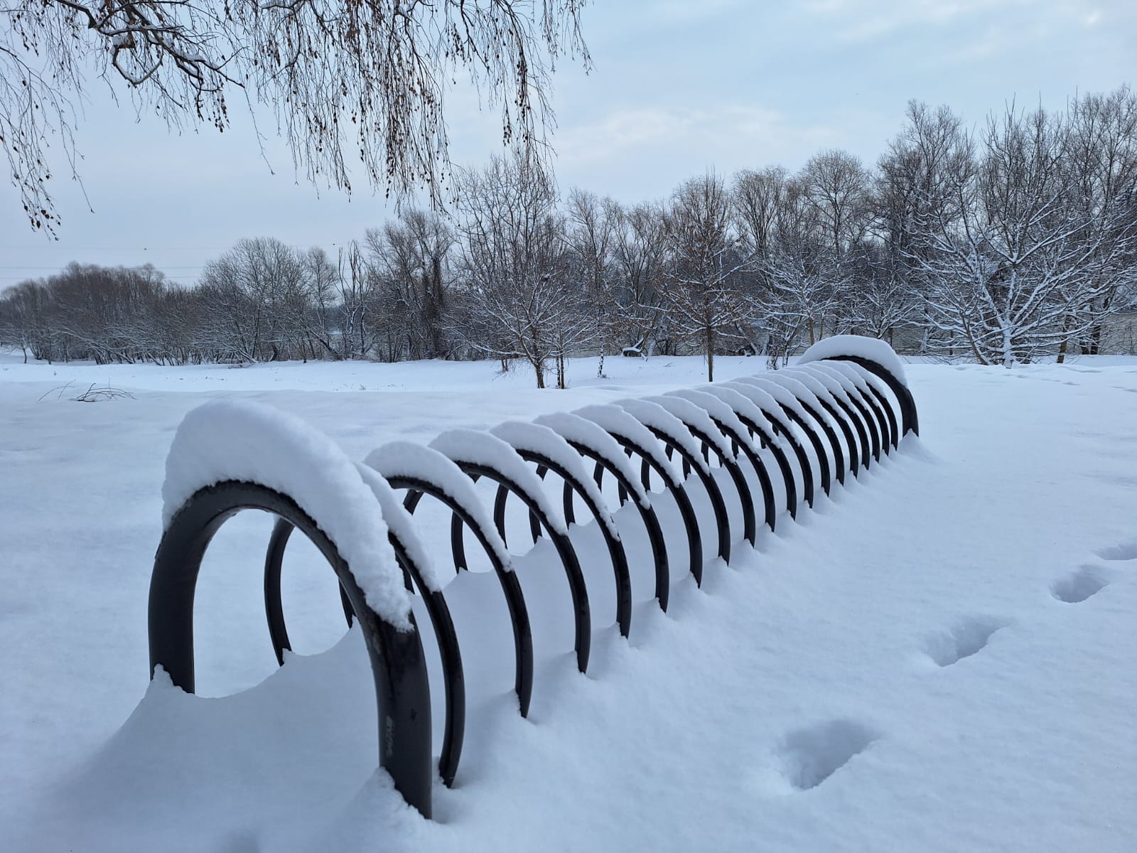 74ce42e0-139c-4dec-8cc4-6123e54e9143