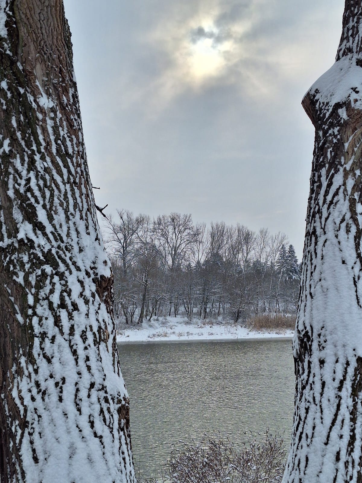 88f349f2-5861-4a49-bab6-c4bdad9a02ae