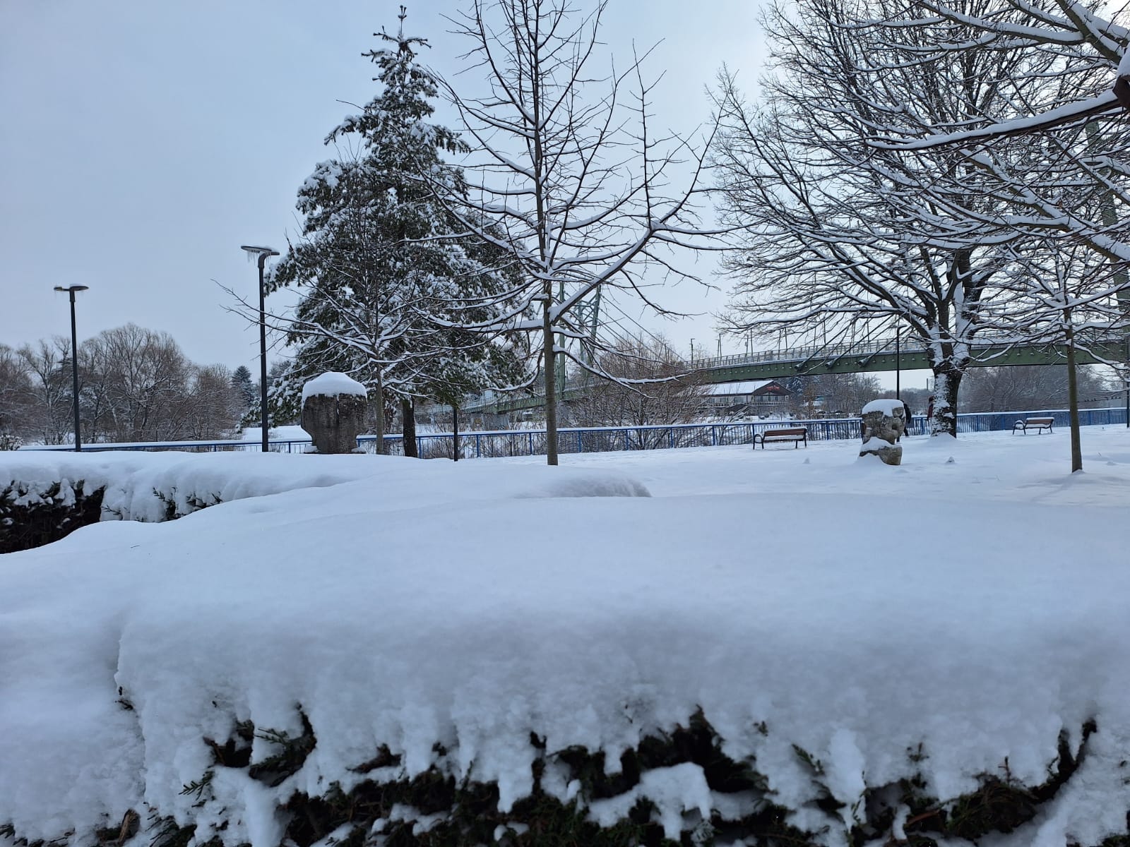 96dd946f-02a3-4ed9-8b8c-543380815eeb