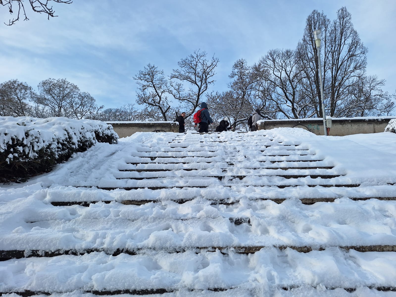 98e3f726-3c98-4bb0-a73c-31b8b4b7a78b