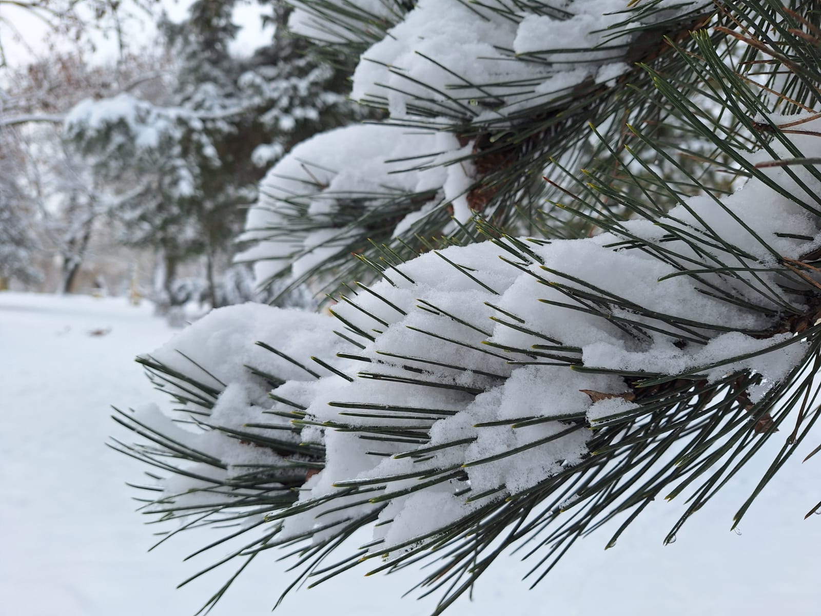 305e6db8-4fa6-4e3f-bc32-73476be30b57