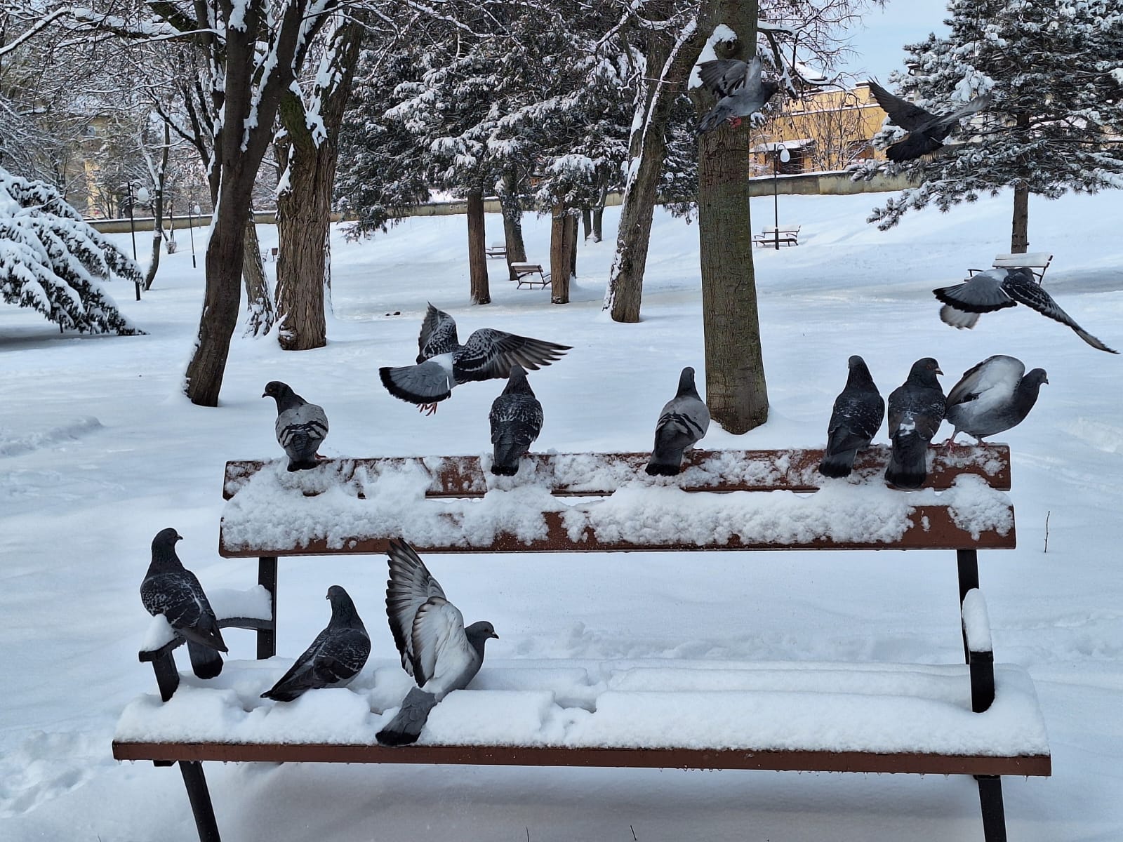 522ed02c-f635-4edf-a048-8bef2837e5f6