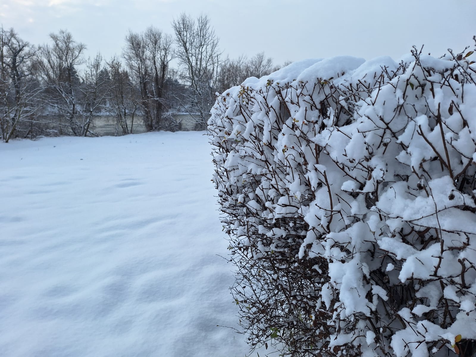 984e4276-0252-4ebe-a51c-1a11f87aae19