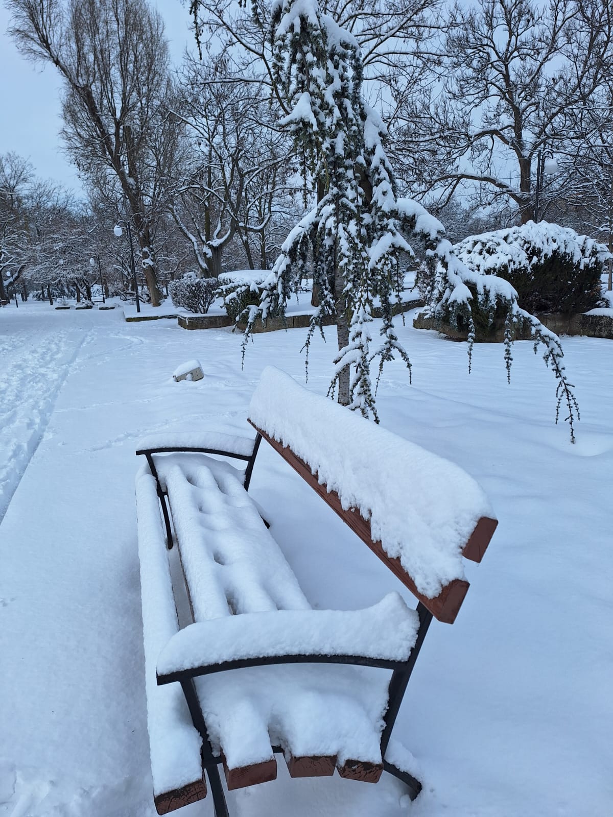 1691d325-75c0-4db6-94b9-b8bca5ec4148