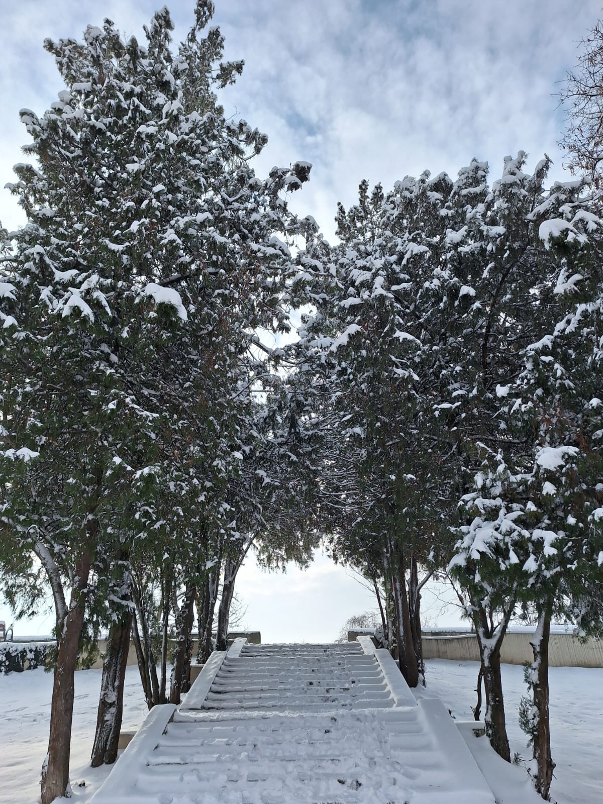 2216b267-3500-4afb-a741-d2630d4b46e1