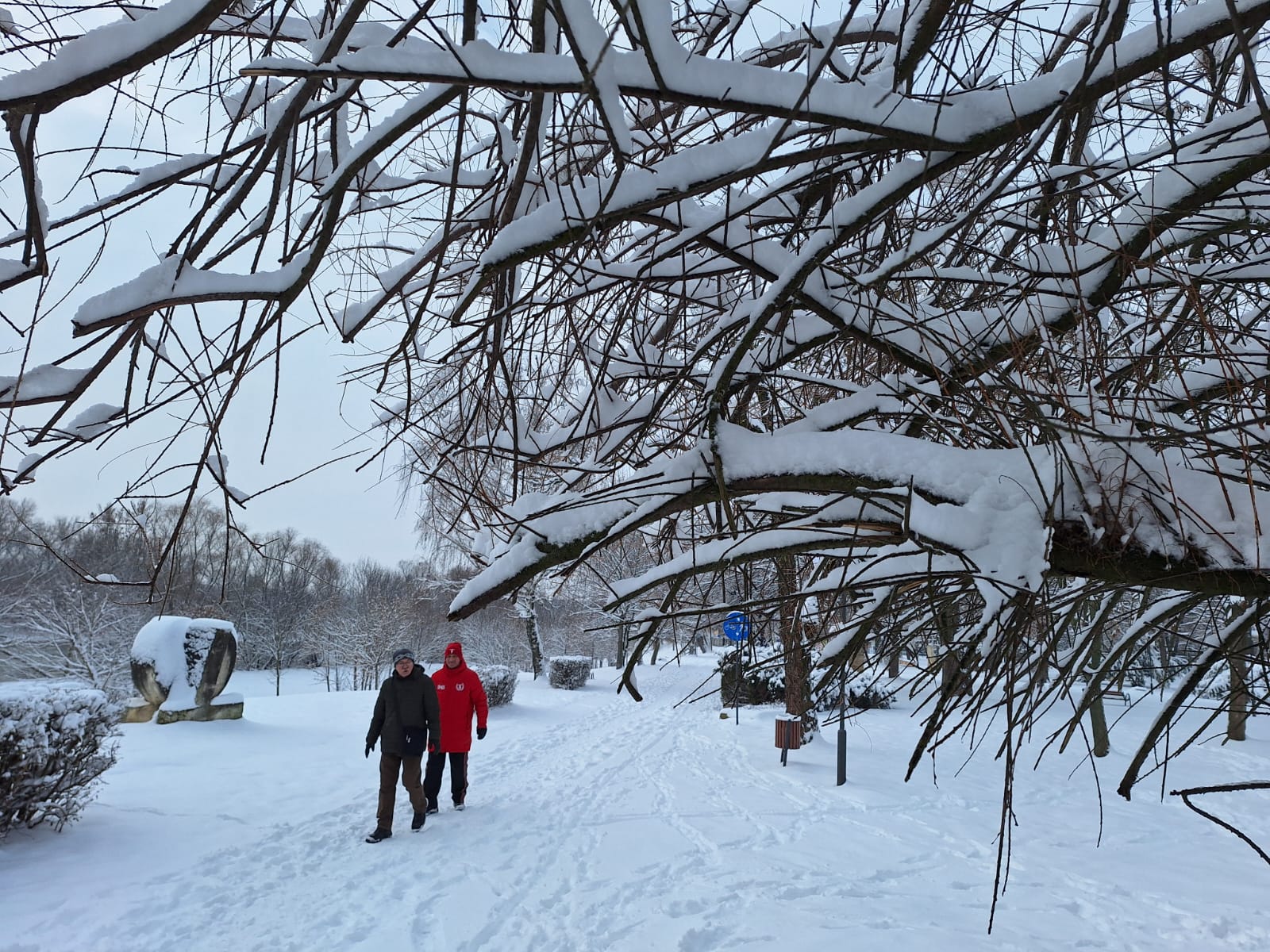 2817583b-3543-41d6-8041-cfbf0963d885