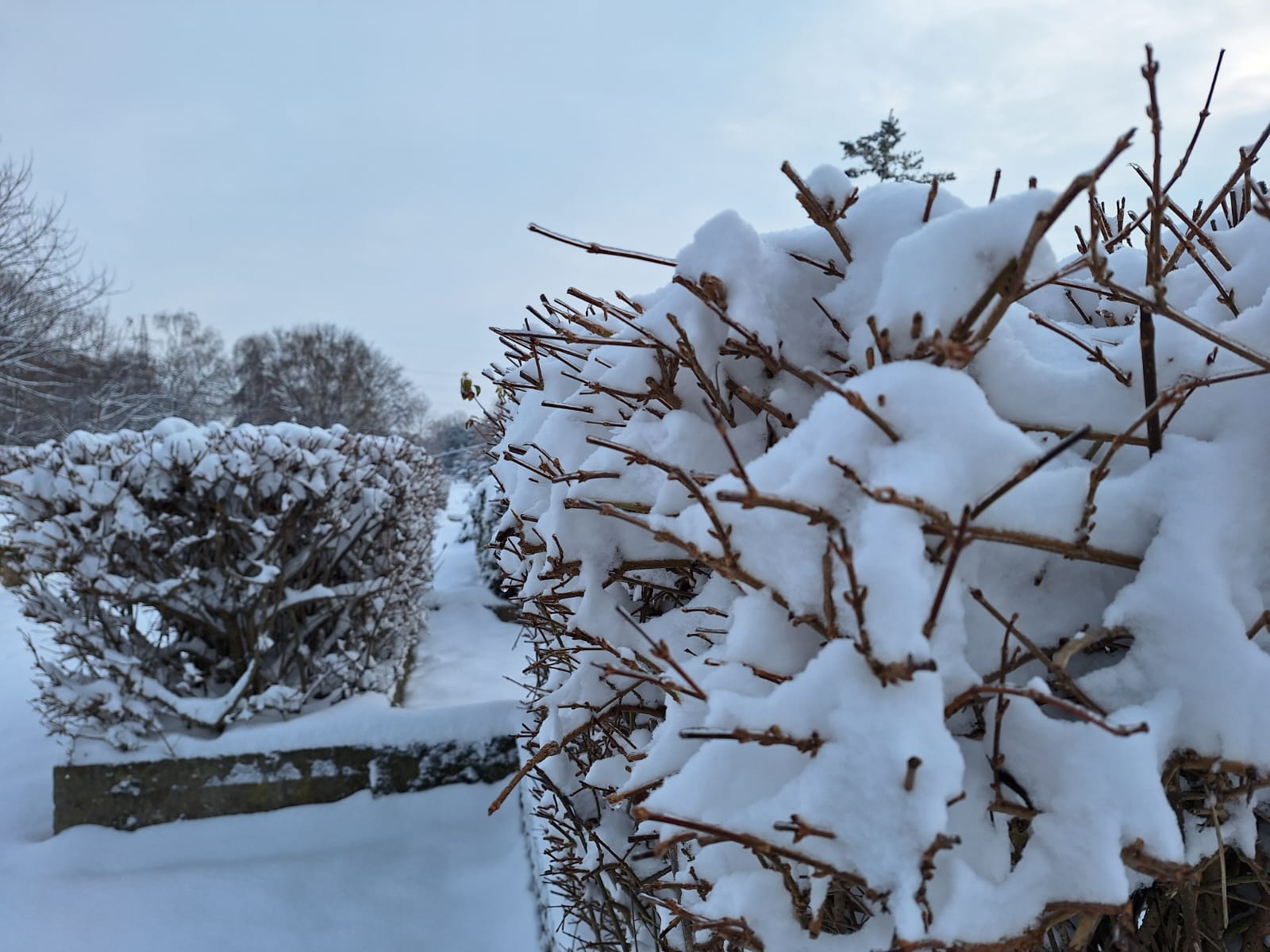 90274894-1e92-4c7a-afc8-de3d5cea678b