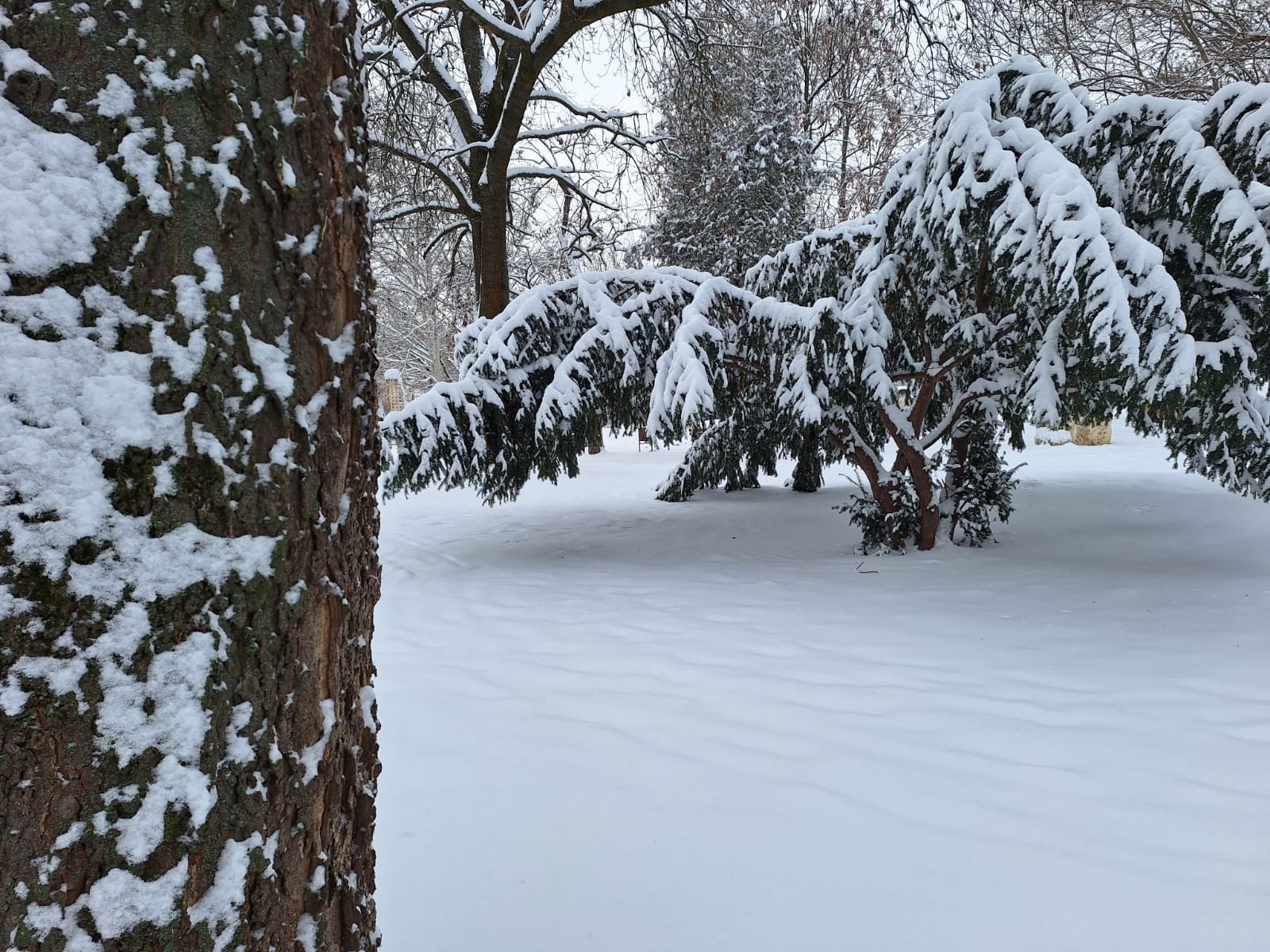 a1b07d59-a291-4080-b5d9-c5b493cb7aac