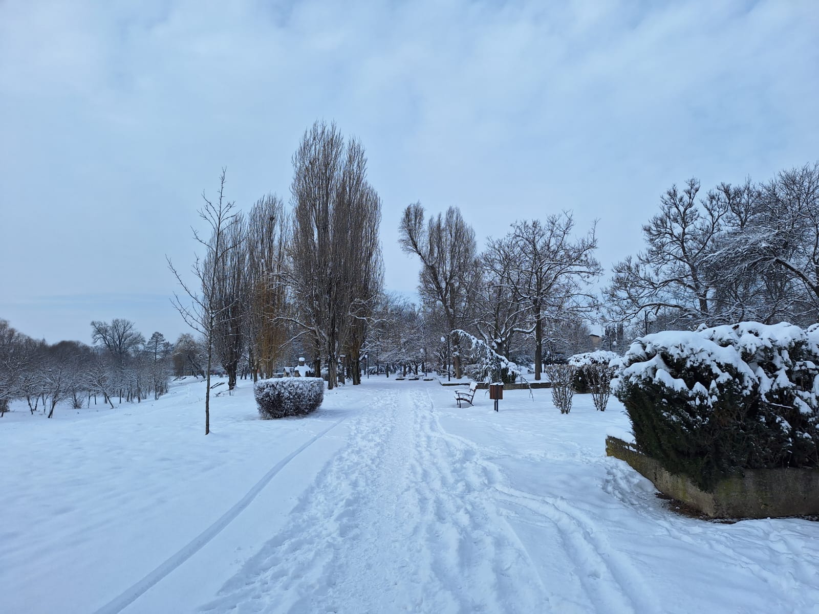 a5878382-364d-42de-8ce5-c8e82e24eb19