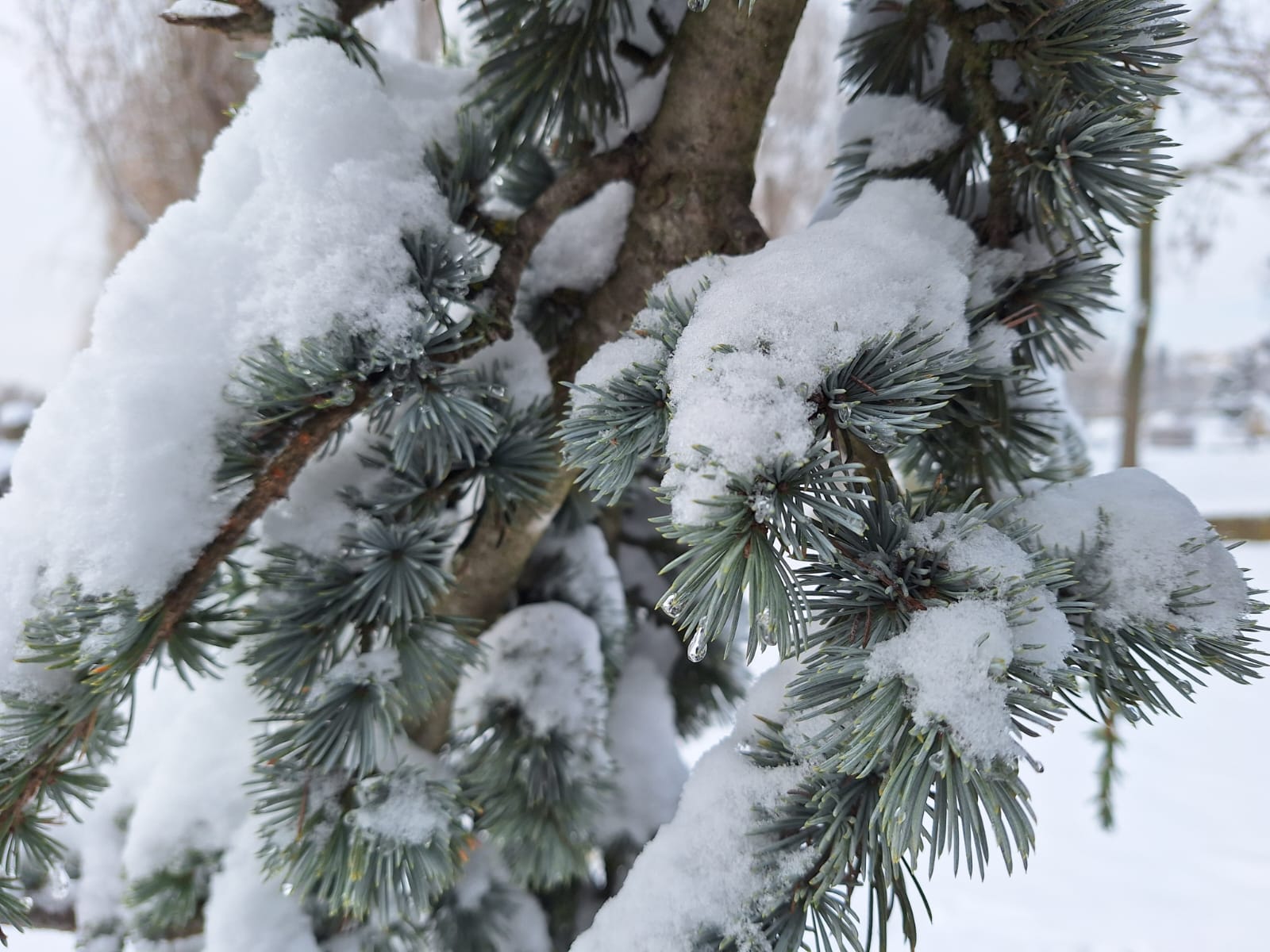 b72df56b-8ab9-412d-8192-274ca5867613