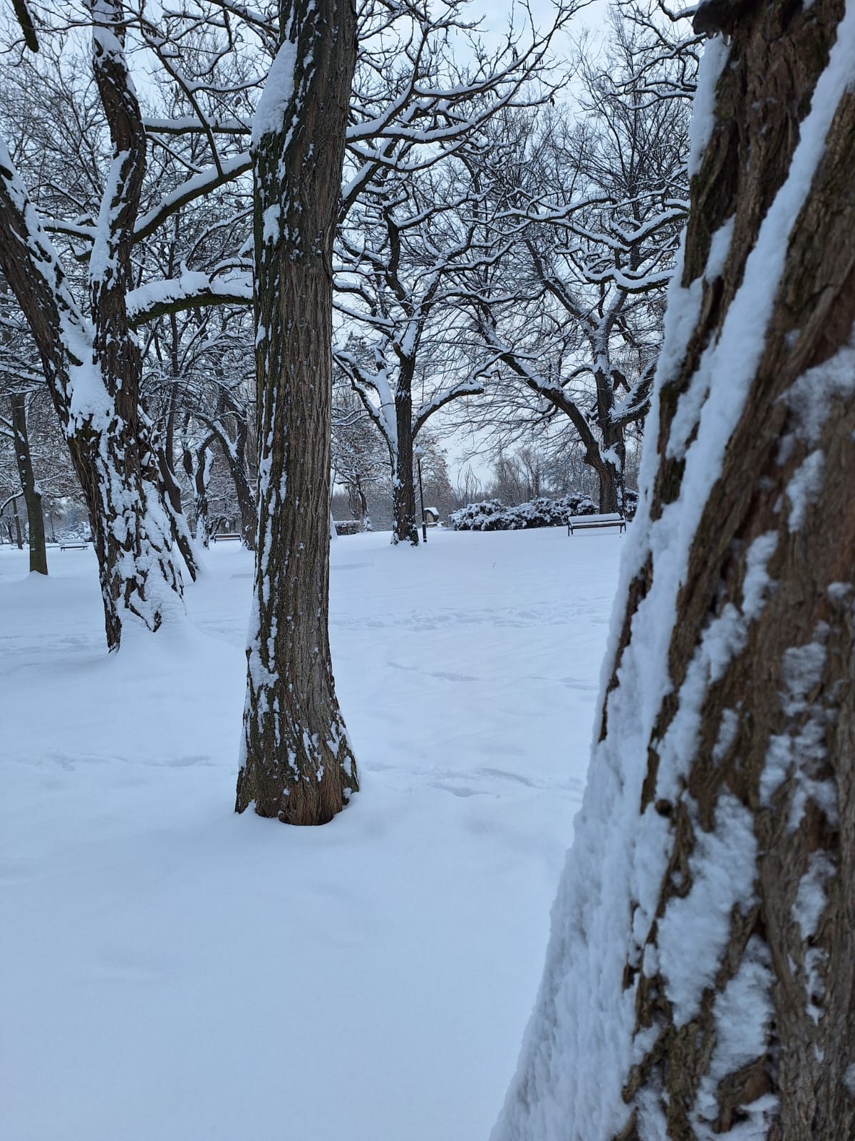 baae7547-bfd7-401f-a624-637384e227fb