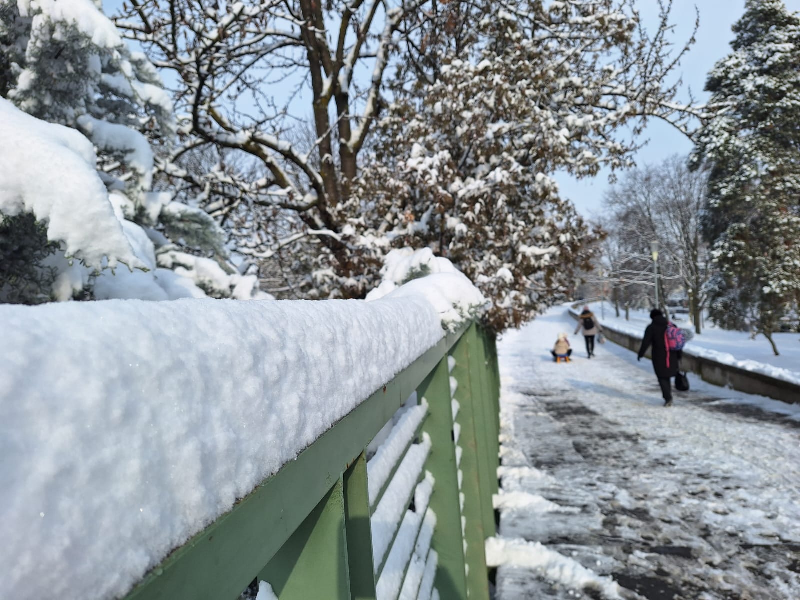 c3d157ba-9fec-4800-b498-7951ec4dcd99