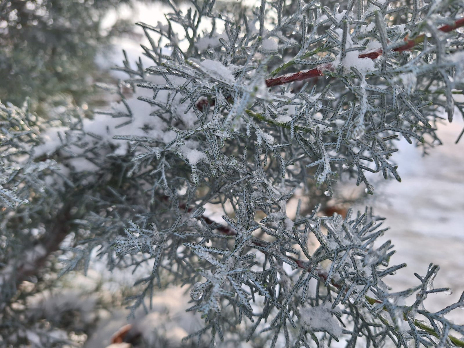 cbd6a207-94cb-48af-94c2-8a2800fbf9d3