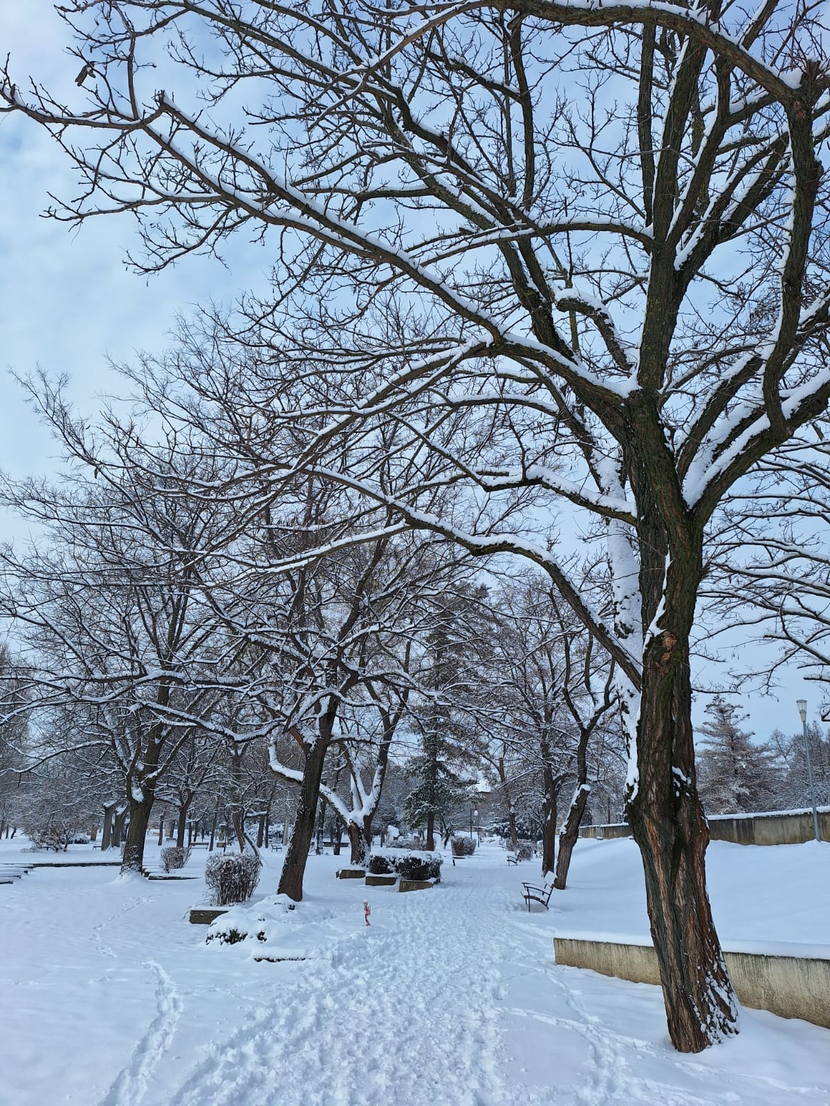 cd916cd5-3361-4e97-8537-9e7d1a7202f9